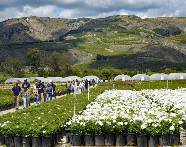 14th Annual Ventura County Farm Day – "Meet The Hands That Feed You"