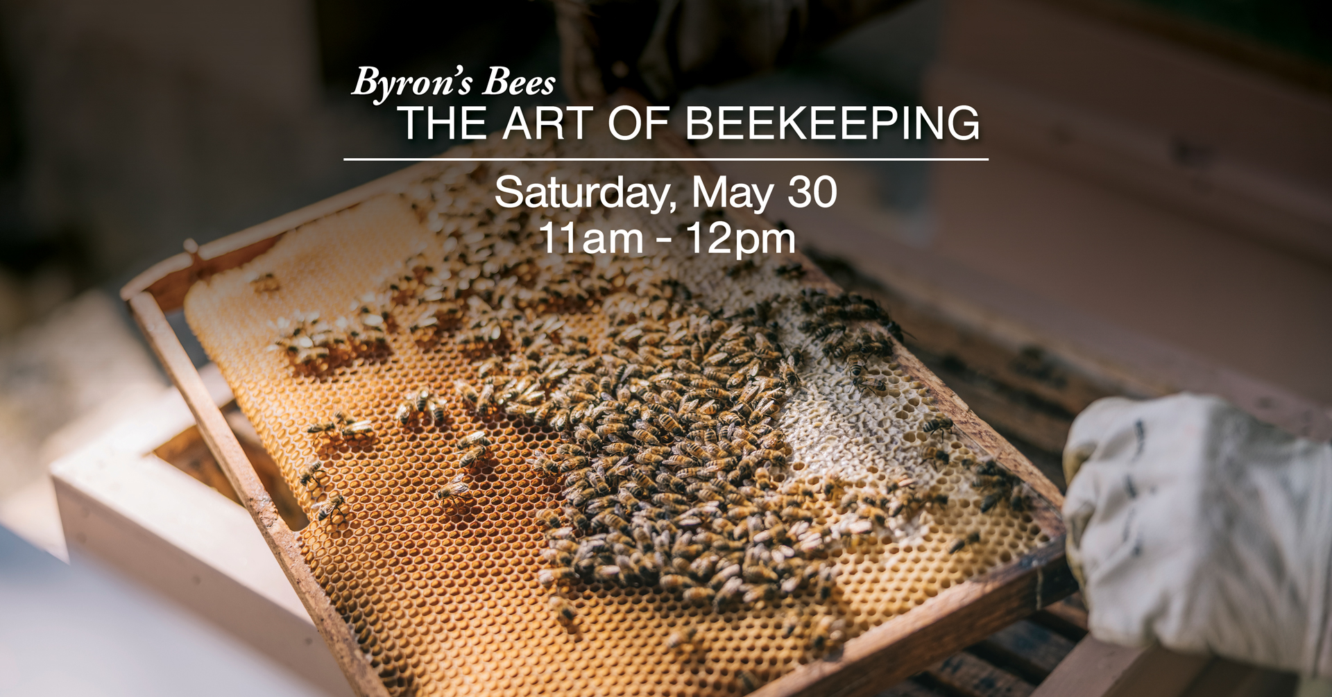 Byron's Bees: The Art of Beekeeping