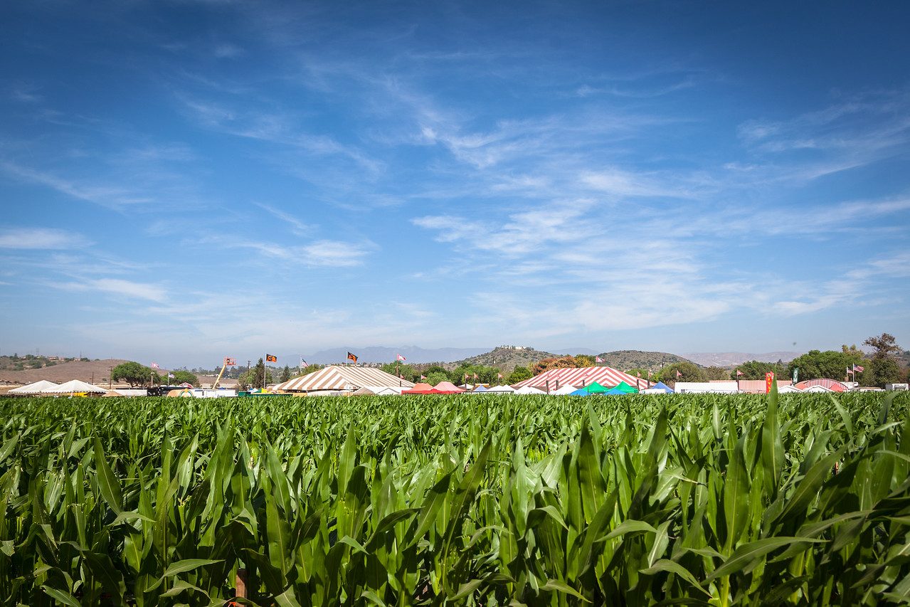 Underwood Family Farms Fall Harvest Festival